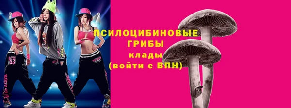 мескалин Арсеньев