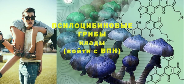 мескалин Арсеньев