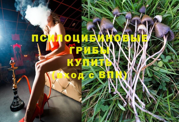 мескалин Арсеньев
